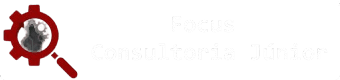 Focus Consultoria JR